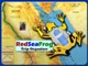 RedSeaFrog