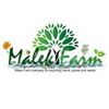 Malek Farm