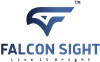 Falcon Sight Consulting