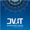 Diamond Vision for Software and Web Solutions