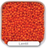 Lentil