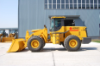 5 Ton Wheel Loader W156