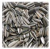 Birds Feeds - Striped sunflower seeds