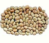 Pulses and Grains - Fava Beans