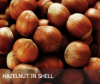 Hazelnut in Shell