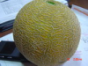 Yellow Melon