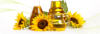 Sunflower Oil