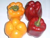 Pepper (Capsicum)