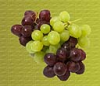 Fresh Grapes