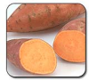 Sweet Potato