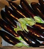 Eggplant