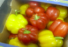 Red & Yellow Pepper